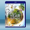 狂野地球 A Wild Year on Earth (2020) 藍光25G