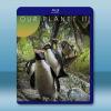 我們的星球第二季 Our Planet S2(2023)藍光25G
