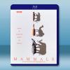 BBC 哺乳動物星球 Mammals(2024)藍光25G 2碟L