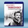 安德烈·塔可夫...